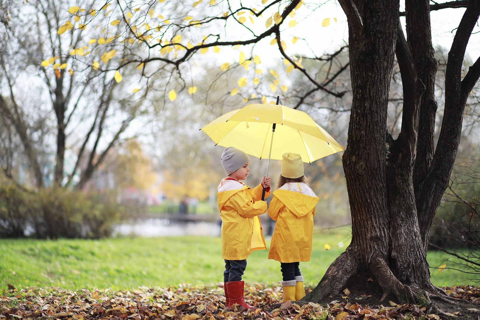 Children in Autumn Park